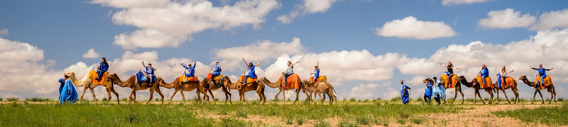 Camel Rides Marrakech