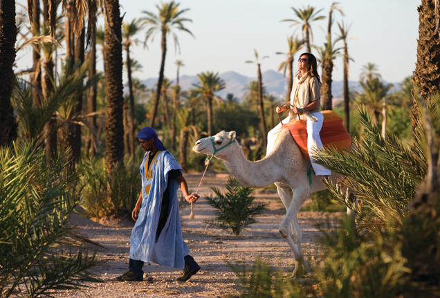 Camel Ride Palm Grove Marrakech