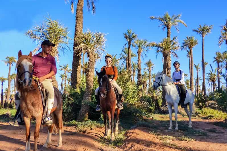 Horse riding Marrakech

