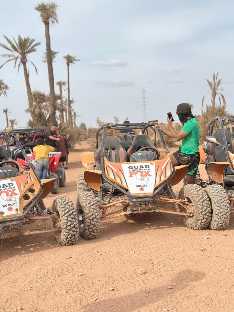 palmeraie-palm-grove